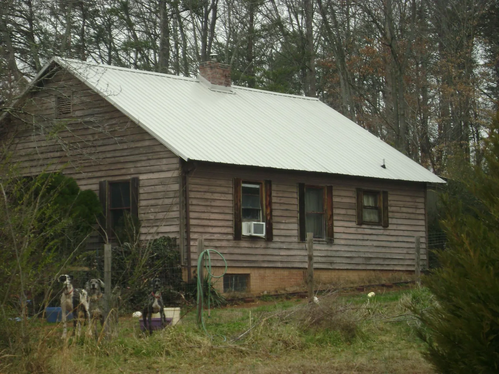 White metal roof on an old wood sided farmhouse, from a Asphalt Shingle Roof Repair job in Menahga